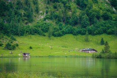 Almanya 'da Bavyera' da Konigssee Gölü 'nde, Berchtesgaden Alman Alpleri' nde Beyaz Bot Ormanı Dağı 'nın yanında kilise ve Güneşli Trek gezisi. Yüksek kalite fotoğraf