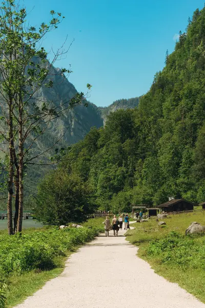 Almanya 'da Bavyera' da Konigssee Gölü 'nde, Berchtesgaden Alman Alpleri' nde Beyaz Bot Ormanı Dağı 'nın yanında kilise ve Güneşli Trek gezisi. Yüksek kalite fotoğraf