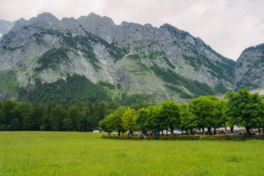 Yükselen dağ zirveleriyle çevrili yemyeşil bir ormanın çarpıcı manzarası. Huzurlu manzara, doğa meraklıları için mükemmel bir huzur ve doğal güzelliği çağrıştırıyor. Konigssee Gölü Bavyera