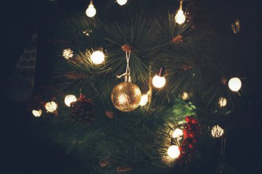 Noel Ağacı Kitap ve İsa 'nın Doğumu Sahnesi Şenlik Dekorasyonları ve Sıcak Mevsimlik Atmosfer. Yüksek kalite fotoğraf