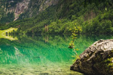 Konigssee Lake in Bavaria Germany with Church by the Lake White Boat Forested Mountain and Beautiful Sunny Trekking in Berchtesgaden German Alps. High quality photo clipart