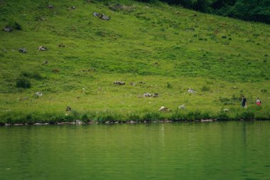 Almanya 'da Bavyera' da Konigssee Gölü 'nde, Berchtesgaden Alman Alpleri' nde Beyaz Bot Ormanı Dağı 'nın yanında kilise ve Güneşli Trek gezisi. Yüksek kalite fotoğraf