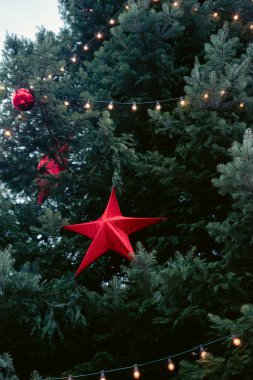 Kırmızı süslemeleri ve şenlikli ışıkları olan güzel dekore edilmiş bir Noel Ağacı. Yüksek kalite fotoğraf