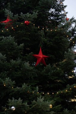 Büyük süslemeli Noel ağacı, kırmızı yıldız süslemeleri ve bayram ortamında parlayan peri ışıkları. Yüksek kalite fotoğraf