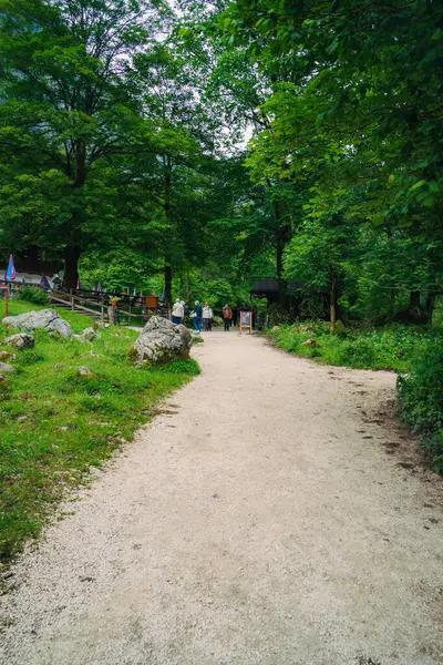 Almanya 'da Bavyera' da Konigssee Gölü 'nde, Berchtesgaden Alman Alpleri' nde Beyaz Bot Ormanı Dağı 'nın yanında kilise ve Güneşli Trek gezisi. Yüksek kalite fotoğraf