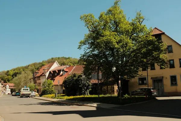 Güneşli bir günde taşlı kaldırım taşları ve dekoratif ağaçları olan küçük kasaba mimari unsurları. Yüksek kalite fotoğraf