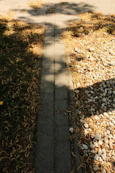 Güneşli bir günde taşlı kaldırım taşları ve dekoratif ağaçları olan küçük kasaba mimari unsurları. Yüksek kalite fotoğraf