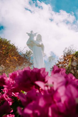 Blue Sky Flowers ve Mother Mary Statue Sahne Sahil Manzaralı Vung Tau Plajı.
