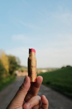 Eller bisküvi çubuklarını tutarken ya da dışarıda kurabiyeler tutarken arka planda güneşli bir gün boyunca yeşil bir manzara vardı. Yüksek kalite fotoğraf