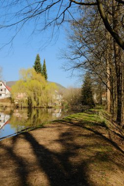 Avrupa 'nın kırsal kesiminde mavi gökyüzü altında ilkbaharda sakin göle yansıyan renkli ağaçlı köy evleri. Yüksek kalite fotoğraf