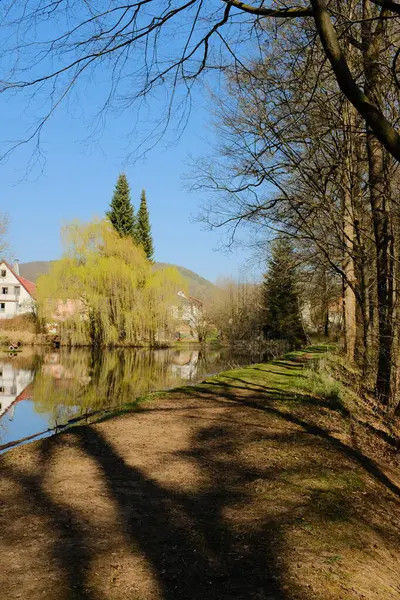 Avrupa 'nın kırsal kesiminde mavi gökyüzü altında ilkbaharda sakin göle yansıyan renkli ağaçlı köy evleri. Yüksek kalite fotoğraf