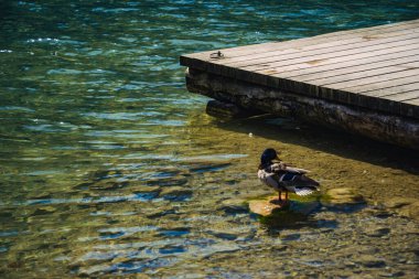 Almanya 'da Bavyera' da Konigssee Gölü 'nde, Berchtesgaden Alman Alpleri' nde Beyaz Bot Ormanı Dağı 'nın yanında kilise ve Güneşli Trek gezisi. Yüksek kalite fotoğraf