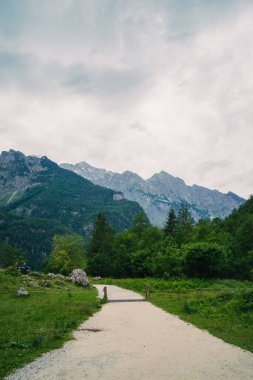 Almanya 'da Bavyera' da Konigssee Gölü 'nde, Berchtesgaden Alman Alpleri' nde Beyaz Bot Ormanı Dağı 'nın yanında kilise ve Güneşli Trek gezisi. Yüksek kalite fotoğraf