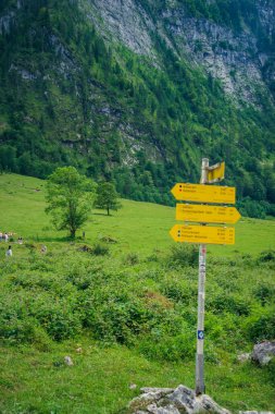 Bavyera 'da Konigssee Gölü' ne doğru sarı dağ levhası istikameti, Berchtesgaden Alman Alpleri 'nde Beyaz Bot Ormanı Dağları' ndaki Kilise ve Güzel Güneşli Yolculuk. Yüksek kalite fotoğraf