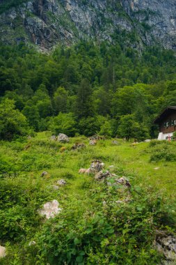 Almanya 'da Bavyera' da Konigssee Gölü 'nde, Berchtesgaden Alman Alpleri' nde Beyaz Bot Ormanı Dağı 'nın yanında kilise ve Güneşli Trek gezisi. Yüksek kalite fotoğraf