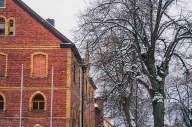 Büyülü kış mevsiminde büyüleyici küçük bir köyde zarif bir şekilde dönen karlı bir yol.