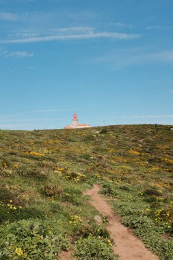 Bereketli yeşil tepeler ve engebeli arazi mavi gökyüzü ve dağılmış bulutlar Cabo da Roca Sintra Portekiz doğal manzarası manzaralı yürüyüş patikasından bitki örtüsü