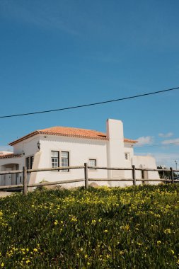 Cabo da roca sintra Portekiz kırsal seyahat mimarisi yakınlarındaki açık mavi gökyüzünün altında bahar sarısı yaban çiçeği tarlasında kırmızı kiremitli geleneksel Portekiz beyaz evi. Yüksek kalite
