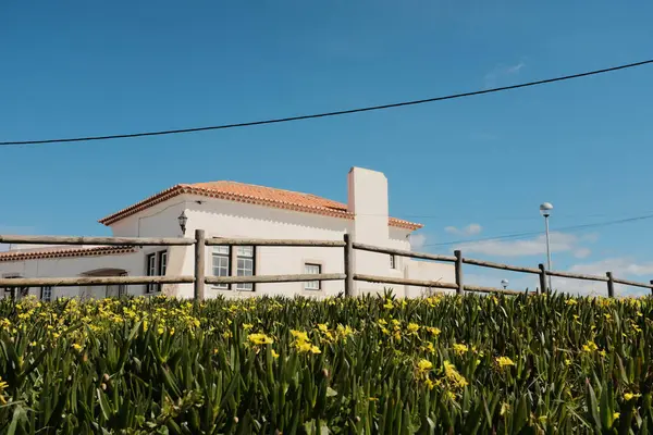 Cabo da roca sintra Portekiz kırsal seyahat mimarisi yakınlarındaki açık mavi gökyüzünün altında bahar sarısı yaban çiçeği tarlasında kırmızı kiremitli geleneksel Portekiz beyaz evi. Yüksek kalite