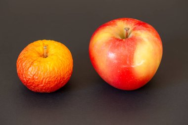 Olgun, canlı bir elma, gençlik ve yaşlılık arasındaki zıtlığı sembolize eden bir önceki sezondan kurumuş ve buruşuk bir versiyonun yanında oturur. Yaşlı, buruşuk elma genç, olgun elmaya karşı..