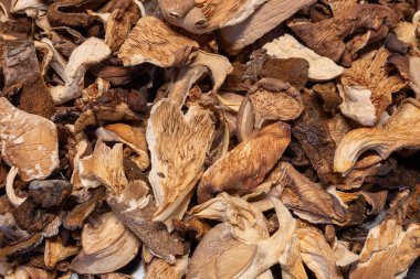 Doğal kurutulmuş mantarların detaylı görüntüsü, kıvrımlarını, çıkıntılarını ve organik dokularını vurguluyor.