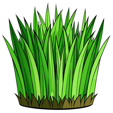 Vibrant Green Plant with Long Leaves on Soil clipart