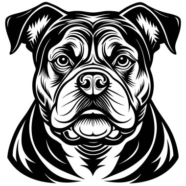 Staffordshire Bull Terrier Face clipart