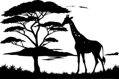 Afrika Vahşi Hayatı 'nda Zürafa ve Siluetli Ağaçlarla Güzel Gün Batımı