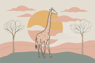 Afrika Vahşi Hayatı 'nda Zürafa ve Siluetli Ağaçlarla Güzel Gün Batımı