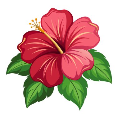 Beautiful Hibiscus Flower Illustration clipart