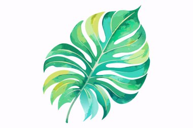 Suluboya Monstera Yaprak İllüstrasyonu Tropikal Titreşimlerle