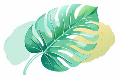 Watercolor Monstera Leaf Illustration with Tropical Vibes clipart