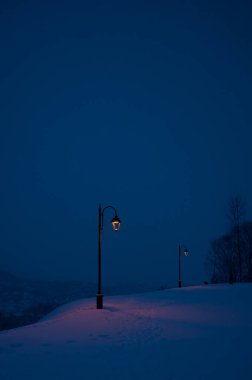 Two lampposts casting a warm glow on a freshly snow-covered path during a tranquil winter evening. The image captures the serene atmosphere of a cold night, highlighting the contrast between the warm lights and the cool blue tones of the snow. clipart