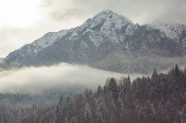 Romanya 'nın Karpat Dağları' nda karla kaplı bir dağın, sisle kaplı ve buzlu çam ağaçlarıyla çevrili olduğu sakin bir kış manzarası. Bu atmosferik alp görüntüsü sis ve karın dramatik etkileşimini yakalar ve onu ideal hale getirir.