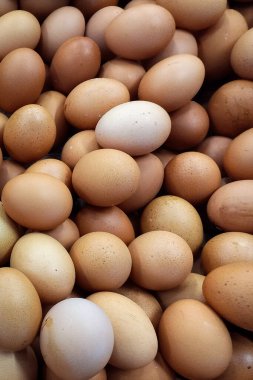 Birbiri üstüne istiflenmiş tavuk yumurtalarının yakın plan çekimi.