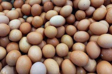 Birbiri üzerine istiflenmiş tavuk yumurtalarının portresi.