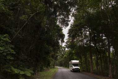 A motorhome driving through lush greenery in Daintree National Park, Australia. clipart