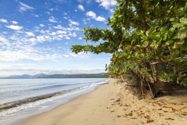 Avustralya 'da yoğun bitki örtüsü ve uzak dağlarla çevrili çarpıcı bir kumlu plaj. Güneşli gün, kıyı şeridi boyunca canlı mavi gökyüzünü ve yemyeşil havayı vurguluyor..