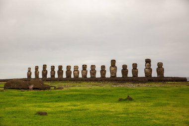 Paskalya Adası 'ndaki Moai heykelleri, antik zanaatkarlığı ve kültürel önemi temsil ederek gururla ayakta duruyor. Uzak bir Pasifik adasında zamansız bir sahne.