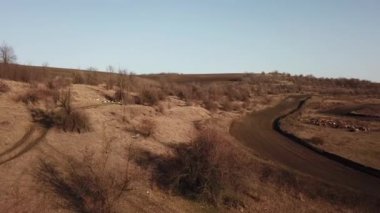 Aerial view of dirty rural road in dry field.