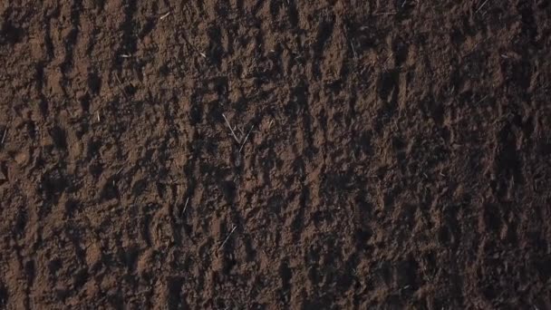 Légi Kilátás Fekete Mezőgazdasági Földterület Termékeny Talaj Videó Drónról Drónra — Stock videók