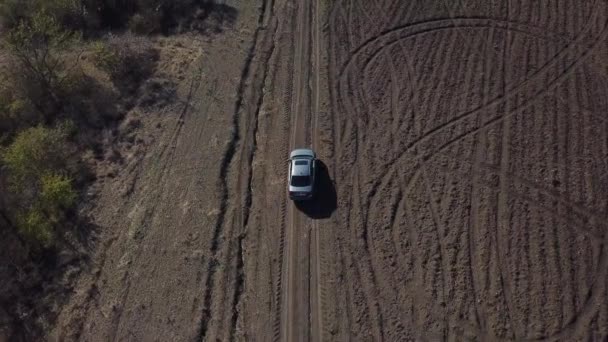 Αεροφωτογραφία Του Γκρι Αυτοκινήτου Οδηγεί Μόνο Εκτός Δρόμου Βρώμικους Αγροτικούς — Αρχείο Βίντεο