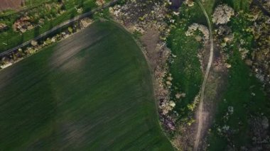 Erken bahar arazisinin hava manzarası, tarım arazileri ve orman arasındaki kırsal yollar, yüksek uçuş, insansız hava aracı görüntüleri, doğal arka plan.