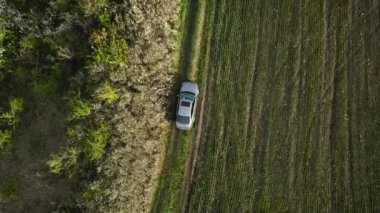 Gri arabanın havadan görünüşü tarım arazisi yakınlarındaki kırsal alanda tek başına off-road yapıyor. İnsansız hava aracıyla çekim. İlkbahar Günü.