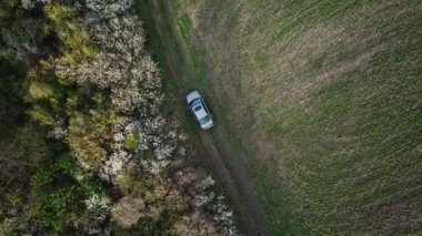 Gri arabanın havadan görünüşü tarım arazisi yakınlarındaki kırsal alanda tek başına off-road yapıyor. İnsansız hava aracıyla çekim. İlkbahar Günü.