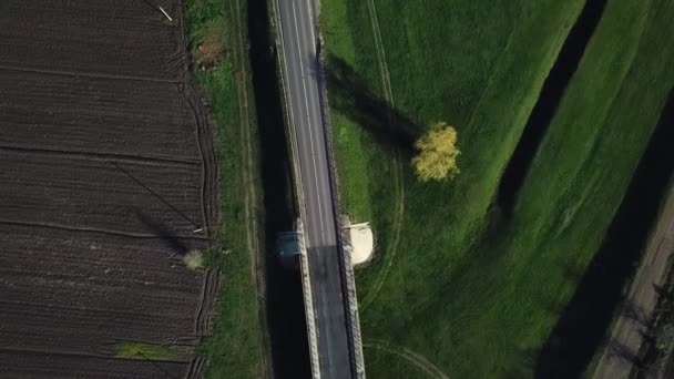 緑のフィールドと農地の間の国道をアスファルトの空中トップビュー ドローン映像 — ストック動画