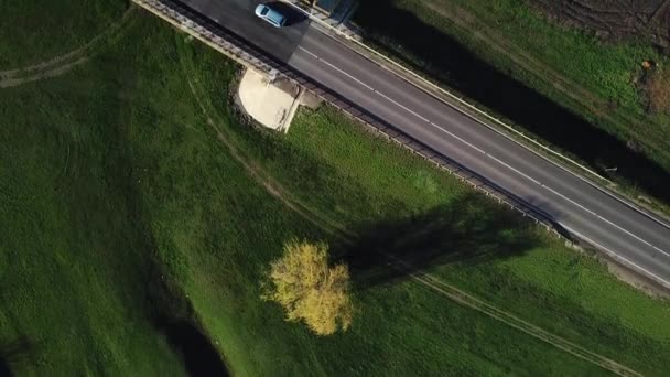 緑のフィールドと農地の間の国道をアスファルトの空中トップビュー ドローン映像 — ストック動画