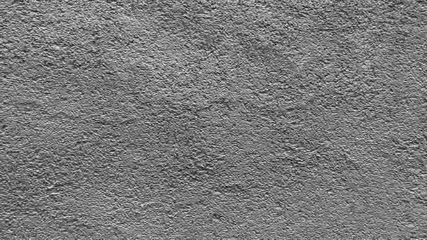 结构混凝土墙的黑白天然抽象背景 — 图库视频影像