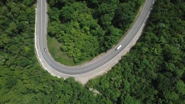 森の中の道路の空中トップビュー ドローン映像 自然景観 — ストック動画