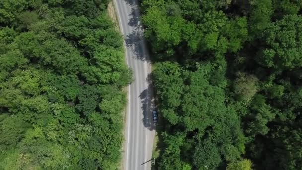 森の中の道路の空中トップビュー ドローン映像 自然景観 — ストック動画